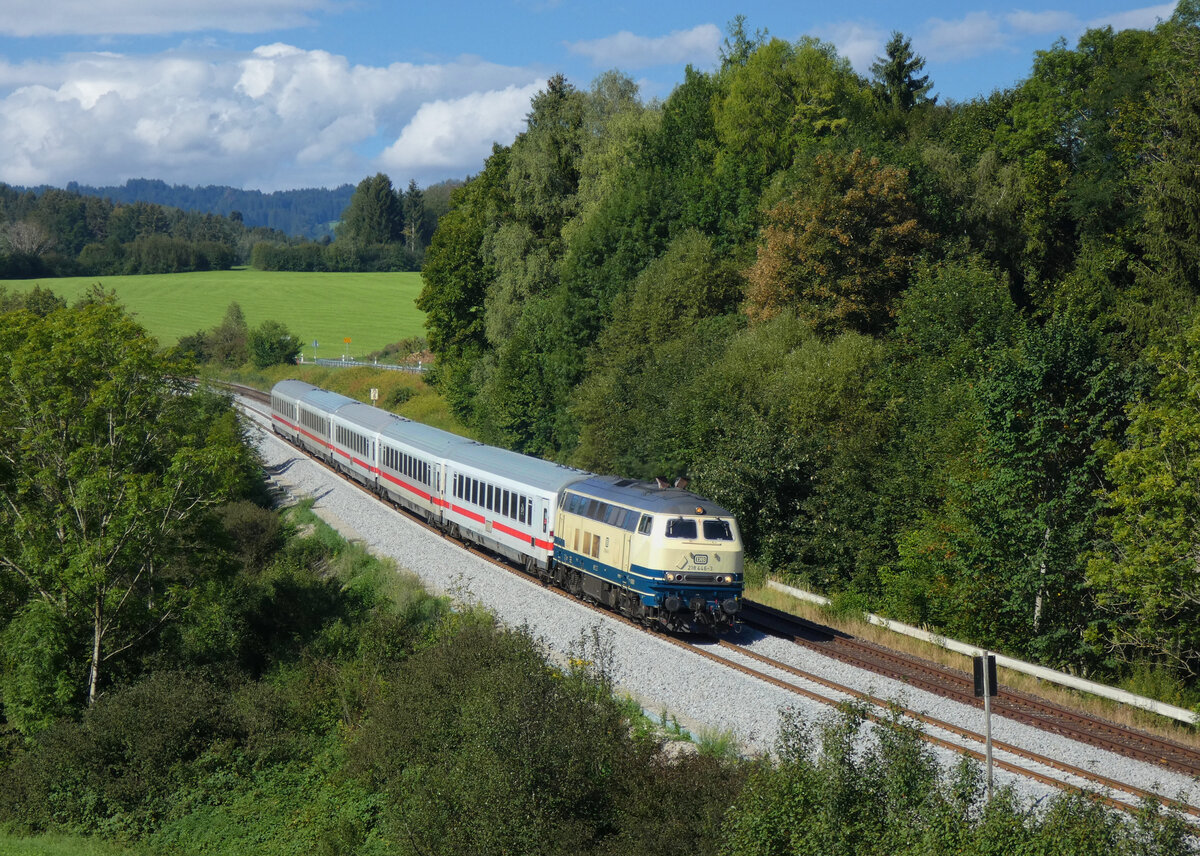 218 446 mit IC 2084 (Oberstdorf - Hannover Hbf) bei Martinszell (Allgäu) 02.09.2022