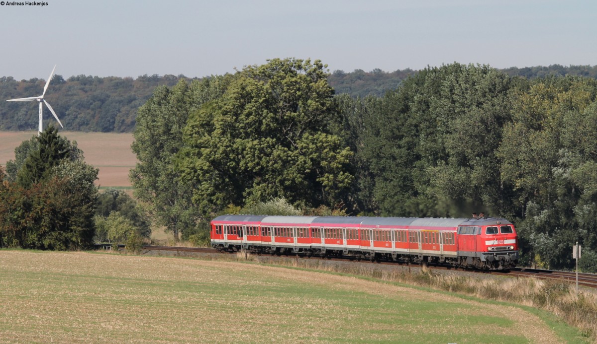 218 452-1 mit dem RE 14067 (Hannover Hbf-Bad Harzburg) bei Kleinelbe 3.10.13