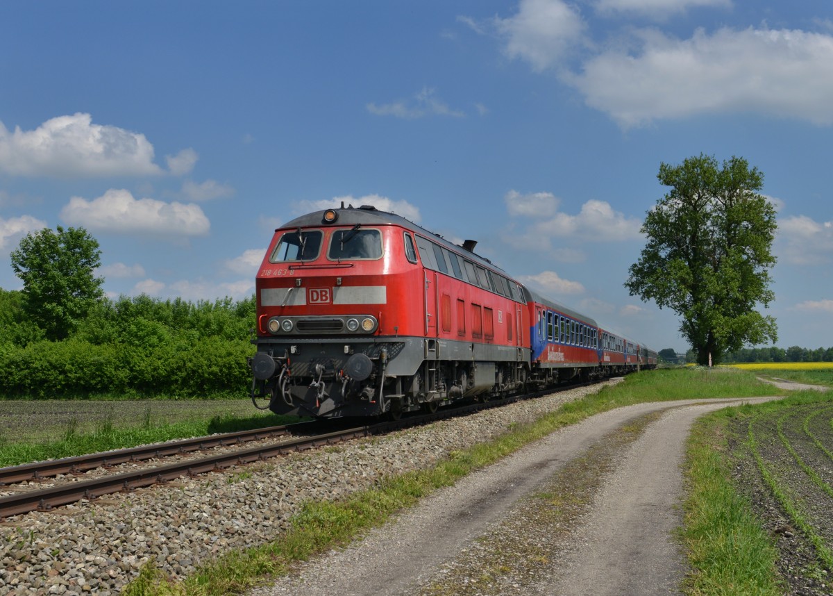218 463 mit dem Pilgersonderzug von Alttting nach Markredwitz am 18.05.2013 bei Alttting.