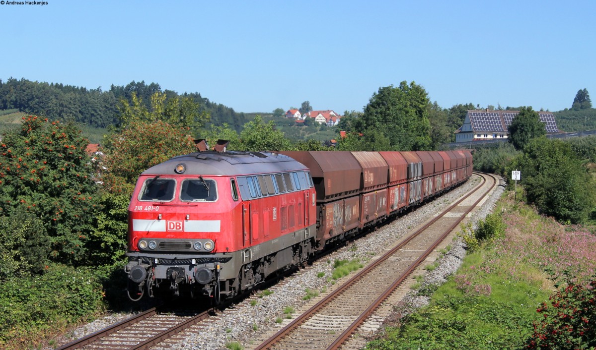 218 481-0 mit dem GB 74825 (Roberg-Lindau Reutin) bei Bodolz 4.9.13