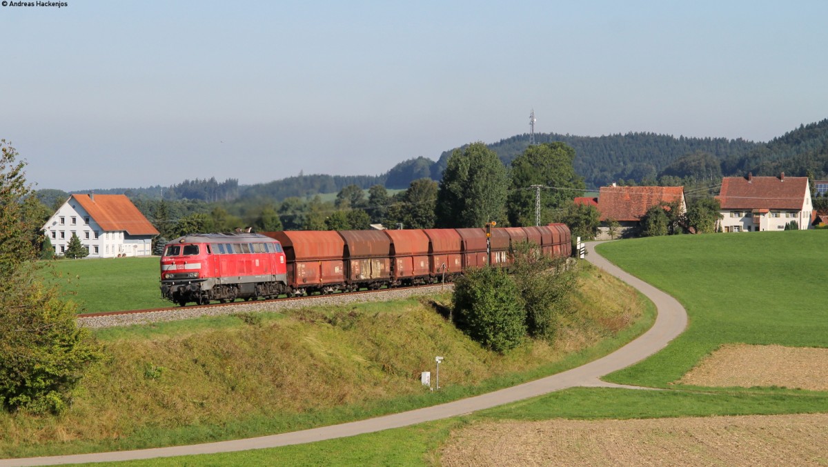 218 481-0 mit dem GB 74825 (Roberg-Lindau Reutin)  bei Alttann 5.9.13