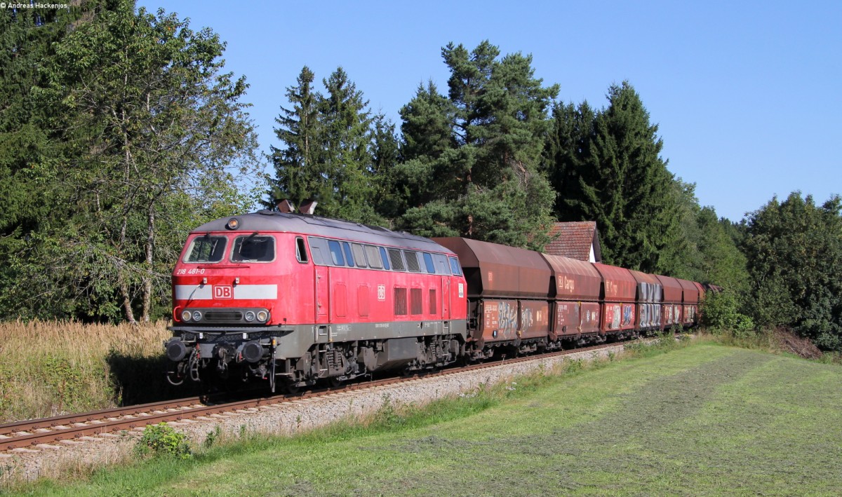 218 481-0 mit dem GB 74825 (Roberg-Lindau Reutin) bei Wallmusried 5.9.13