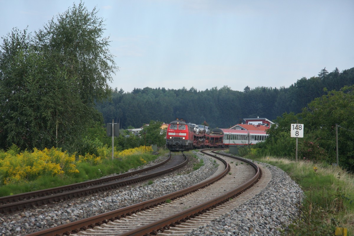 218 494-3 + 218 491-9 Bodolz 18.08.2011
