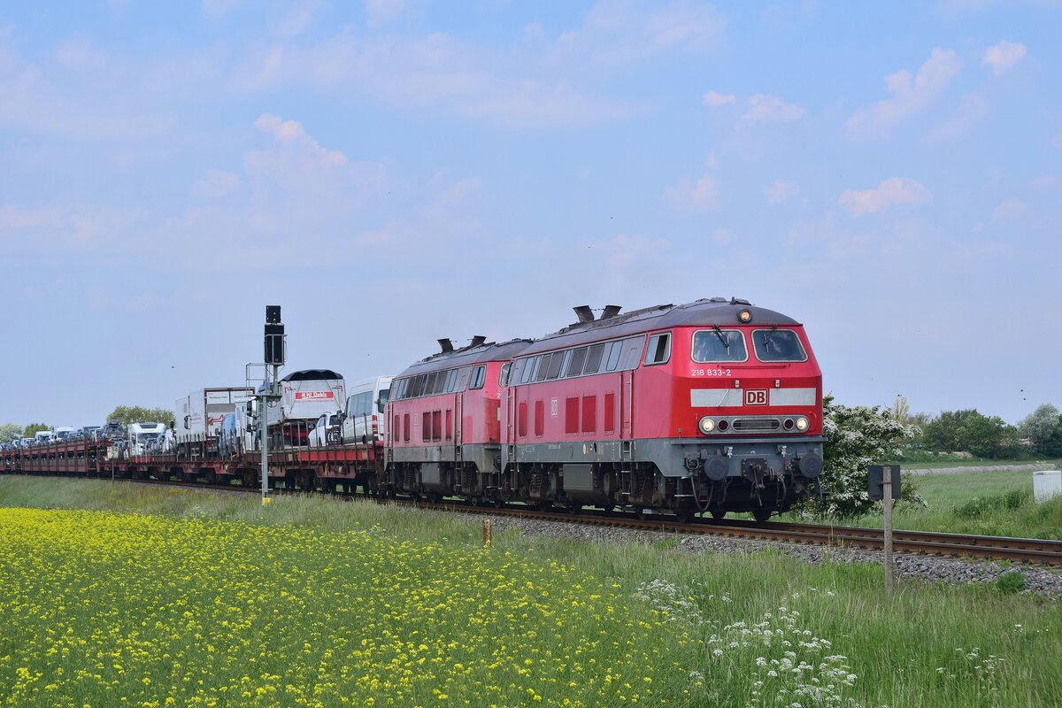 218 833 passiert mit einer weiteren 218er das Einfahrsignal von Keitum auf den Weg nach Niebüll.

Keitum 03.06.2021