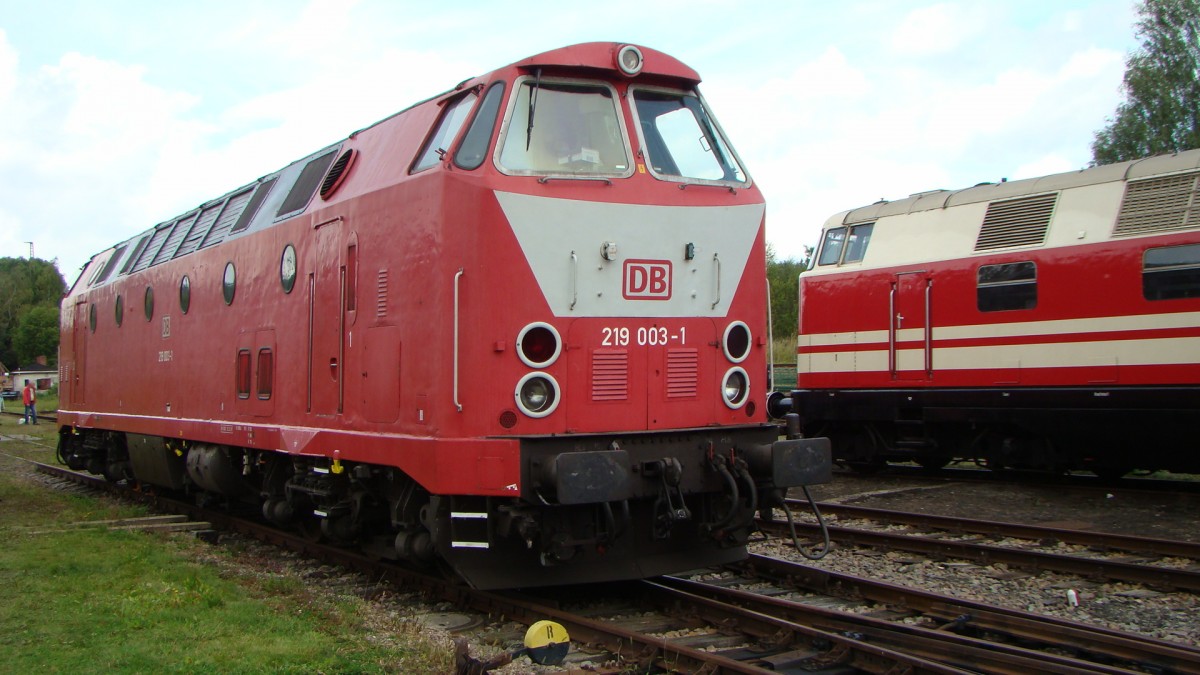 219 003-1 DB ex DR 119, SEM Heizhausfest 2014