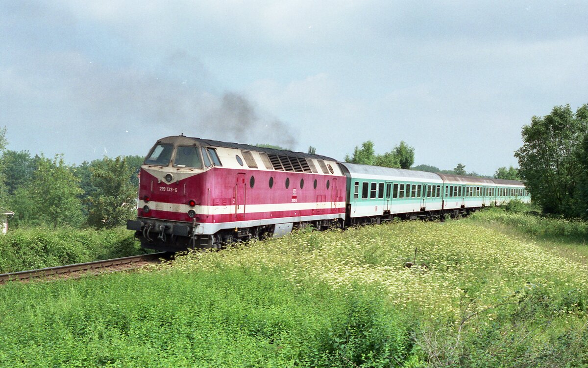 219 133-6 schiebt bei Ammern im Juni 1998 ihren RE Richtung Leinefelde. Nach dem Fahrplanwechsel 1998 kamen die 219 mit ihren Wendezügen auf die Strecke und lösten die 229 ab. Diese hier sah schon recht übel aus, ein paar Wochen später war sie dann verkehrsrot, Negativ Scan