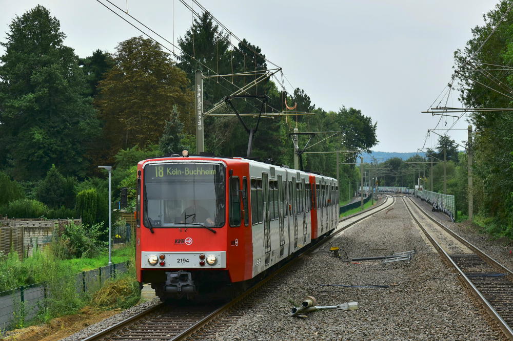 2194  kurz vor dem Haltepunkt Brühl Süd am 30.08.2017. 