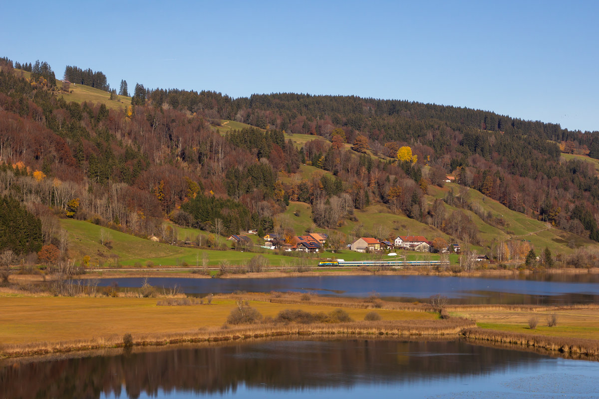 223 013 als  Bodo Werbelok  und ihrem Alex Vollzug entlang des großen Alpsees bei Immenstadt. 7.11.20