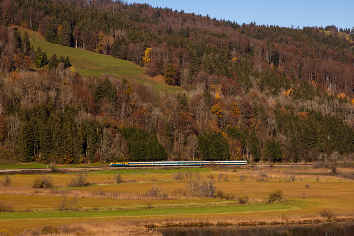 223 013 als  Bodo Werbelok  und ihrem Alex Vollzug entlang des großen Alpsees bei Immenstadt. 7.11.20