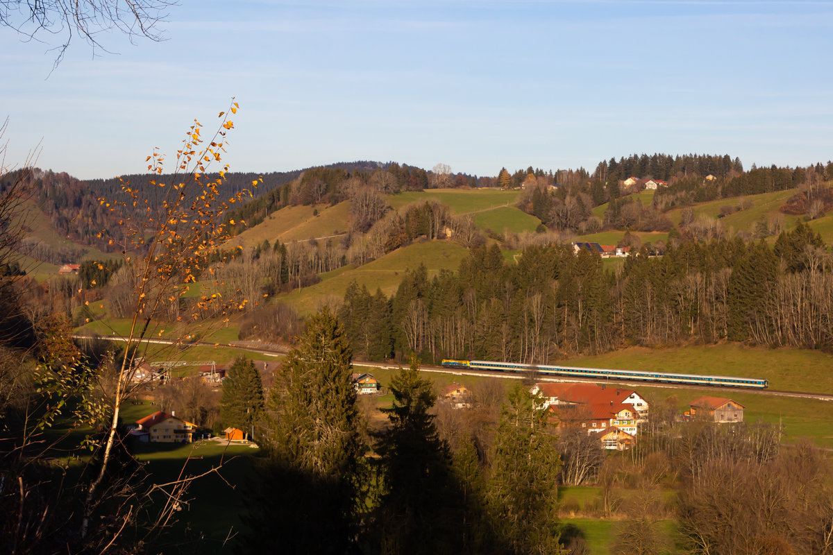 223 013 am Alex bei Oberthalhofen. 14.11.20