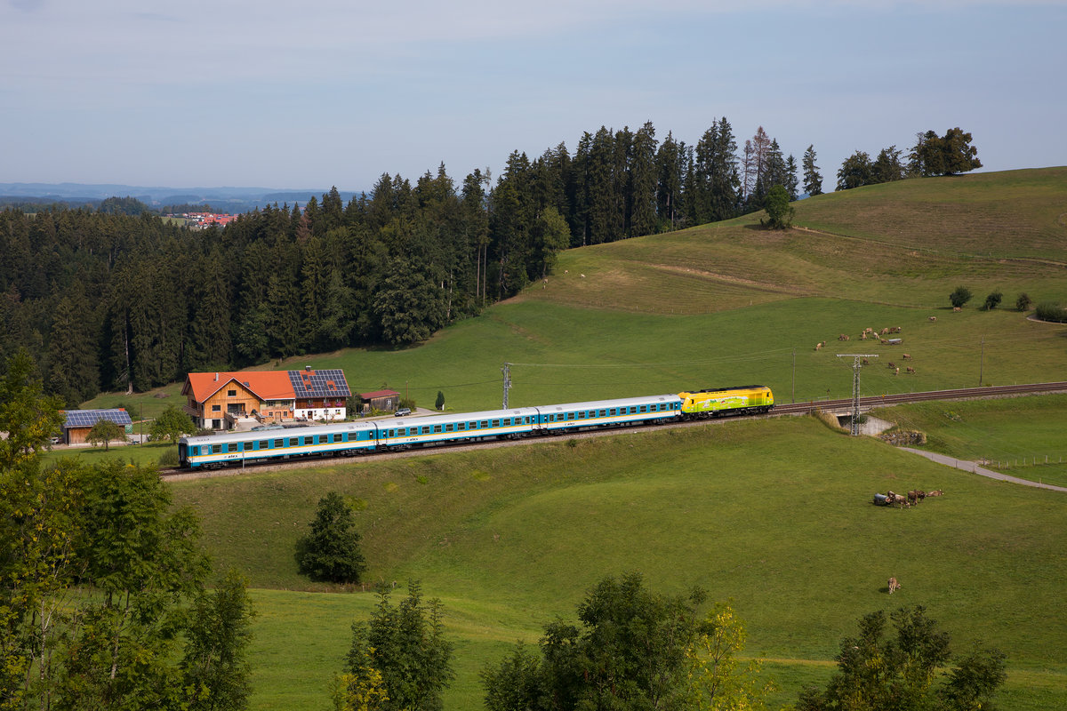 223 013 bei Heimhofen nach Oberstaufen. 29.8.18