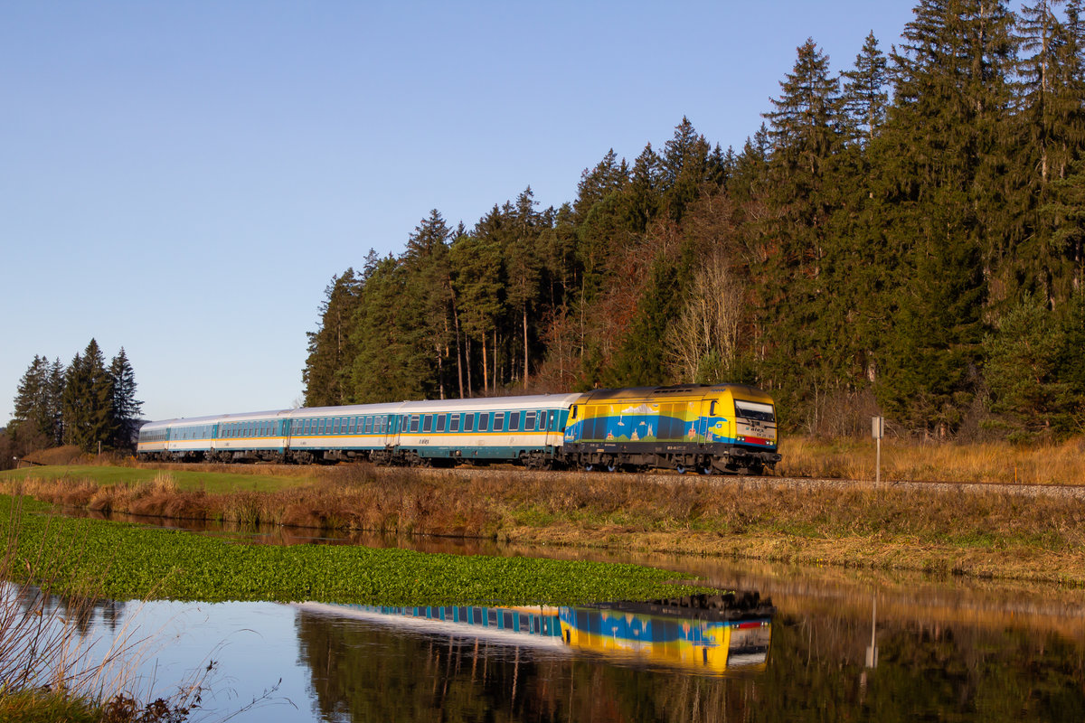 223 013 mit ihrem Alex beim Weiher in der Nähe von Ruderatshofen. 7.11.20