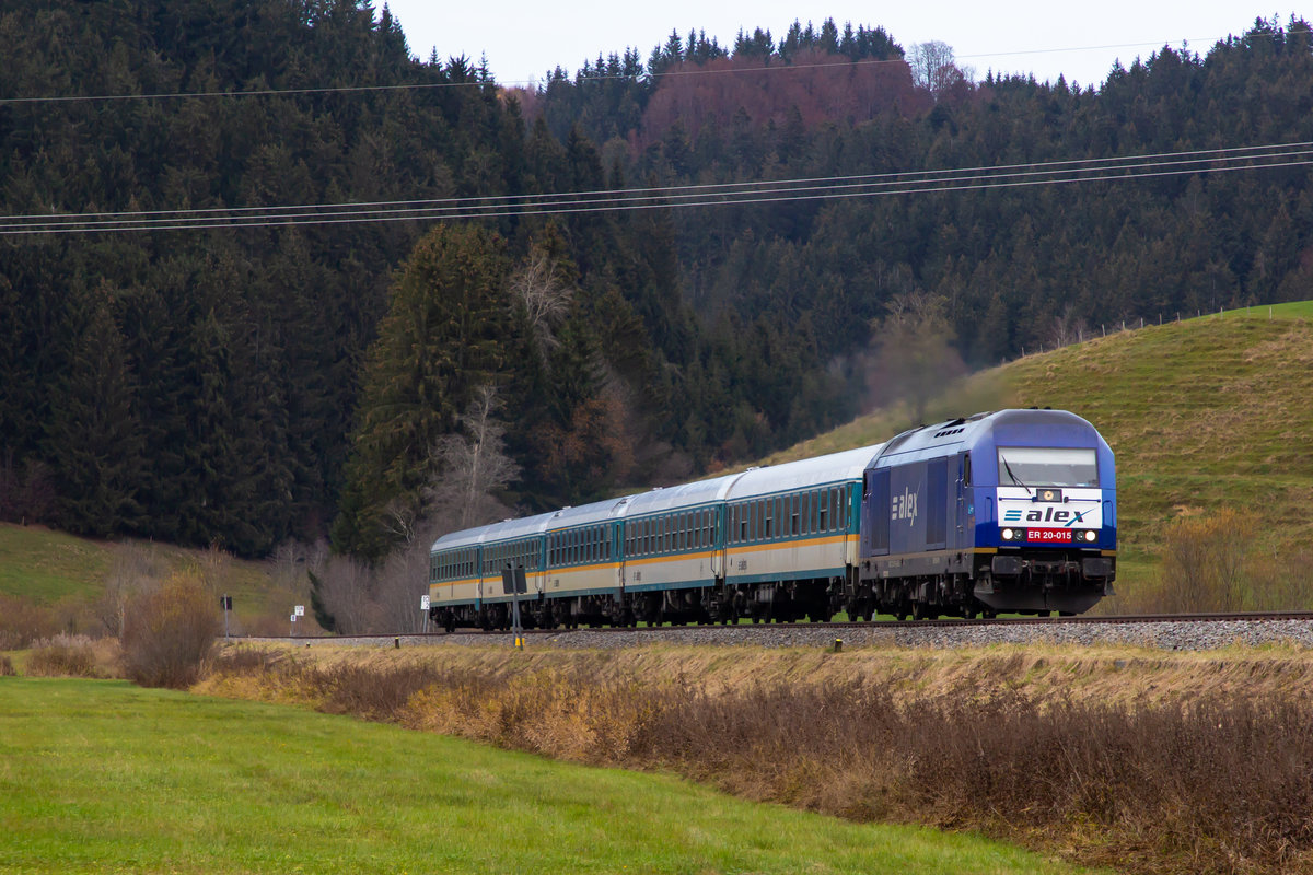 223 015 mit dem Alex kurz vor Oberstaufen. 8.11.20
