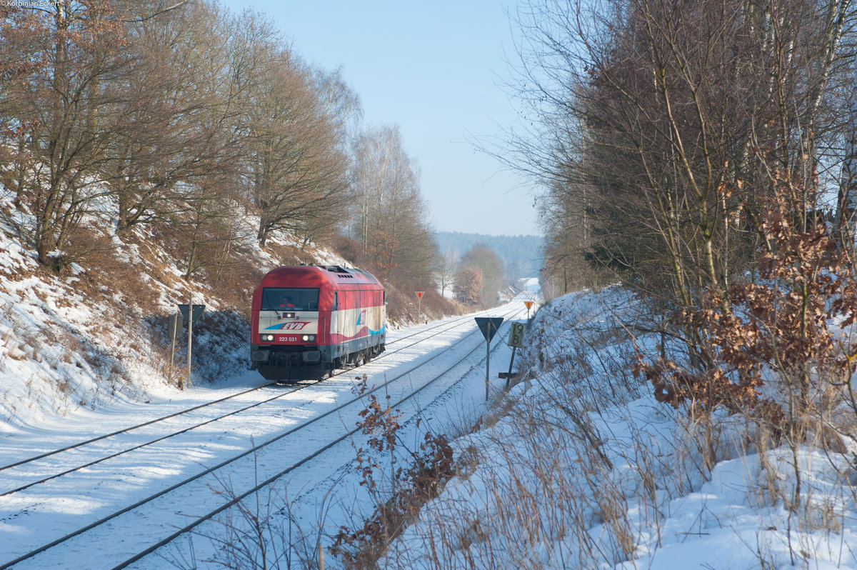223 031 als Lokzug nach Cheb unterwegs bei Naabdemenreuth, 29.01.2017