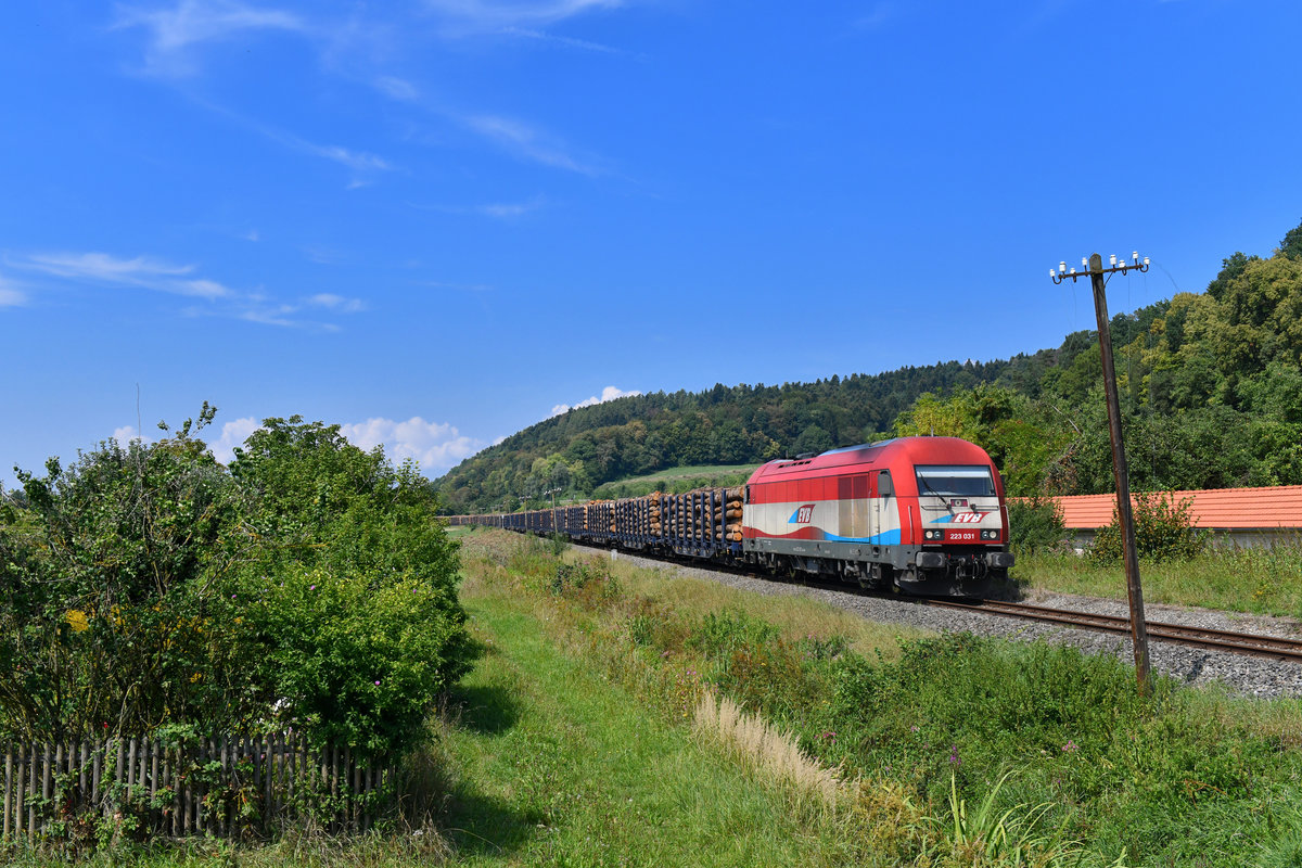223 031 mit einem Holzzug am 19.08.2018 bei Seebach. 
