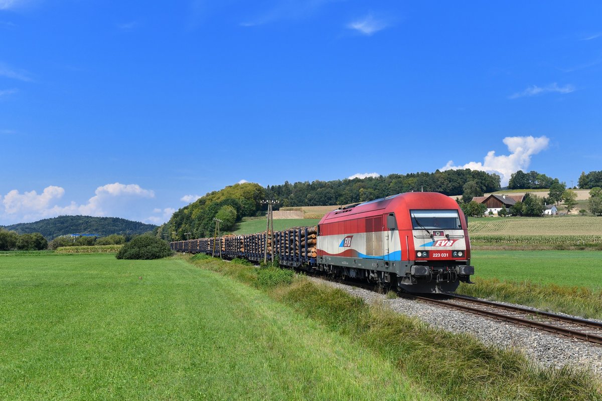 223 031 mit einem Holzzug am 19.08.2018 bei Hengersberg. 