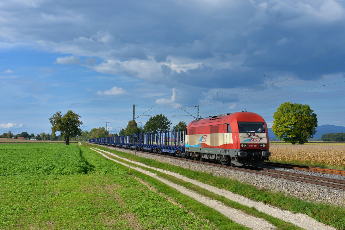 223 031 mit einem Rungenwagenzug am 24.09.2017 bei Langenisarhofen.