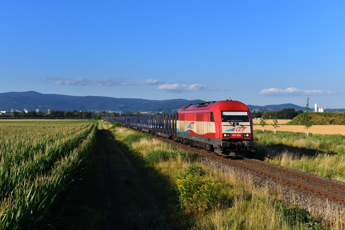 223 032 mit einem Rungenwagenzug am 23.07.2019 bei Pankofen. 