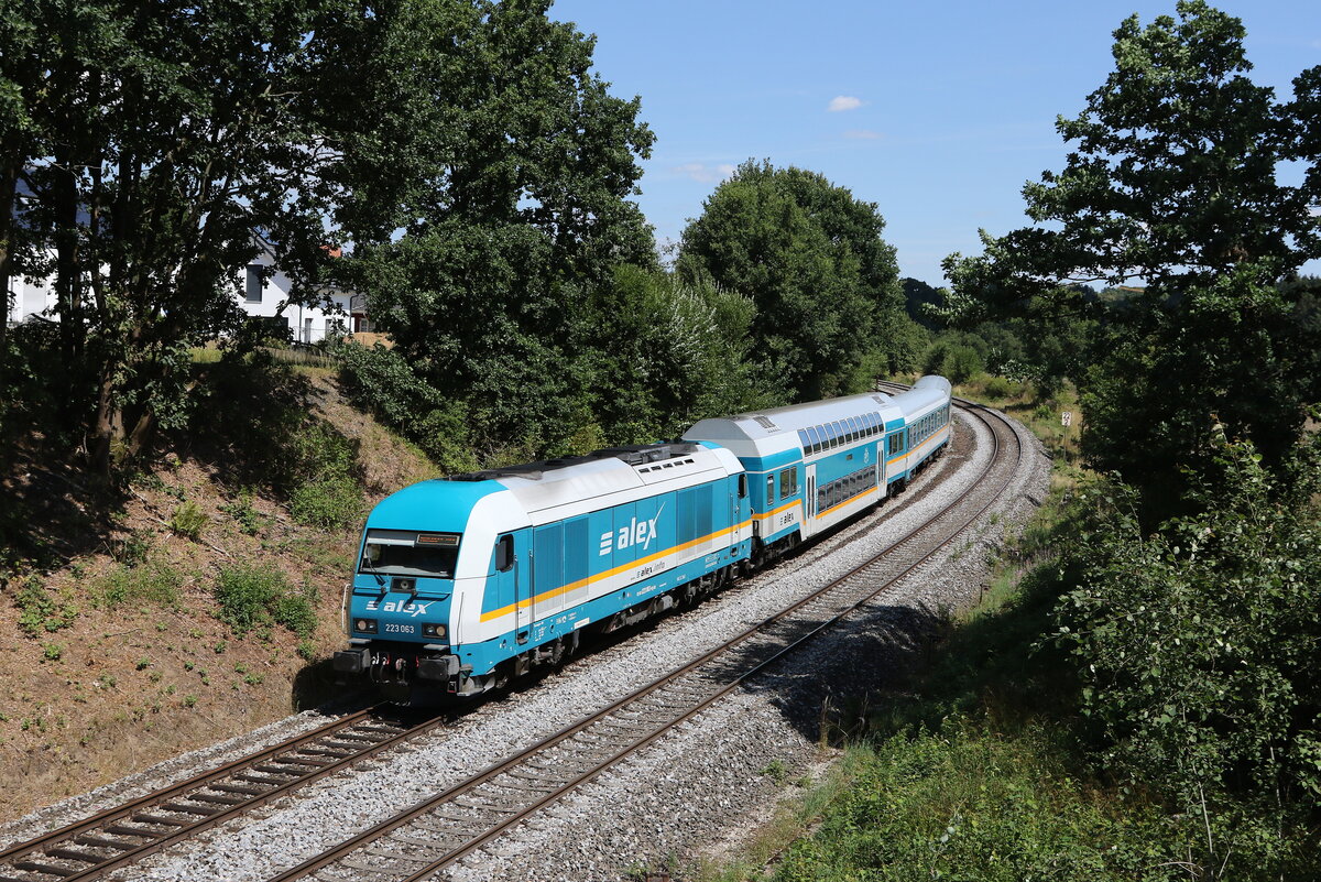 223 063 am 3. August 2022 kurz nach Reuth bei Erbendorf.