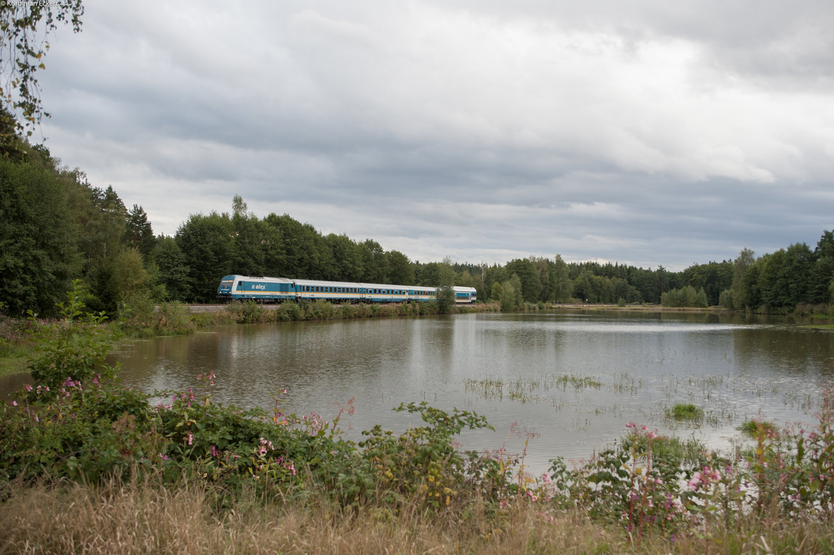 223 063 mit dem ALX 84110 von München Hbf nach Hof Hbf bei Wiesau, 11.09.2017