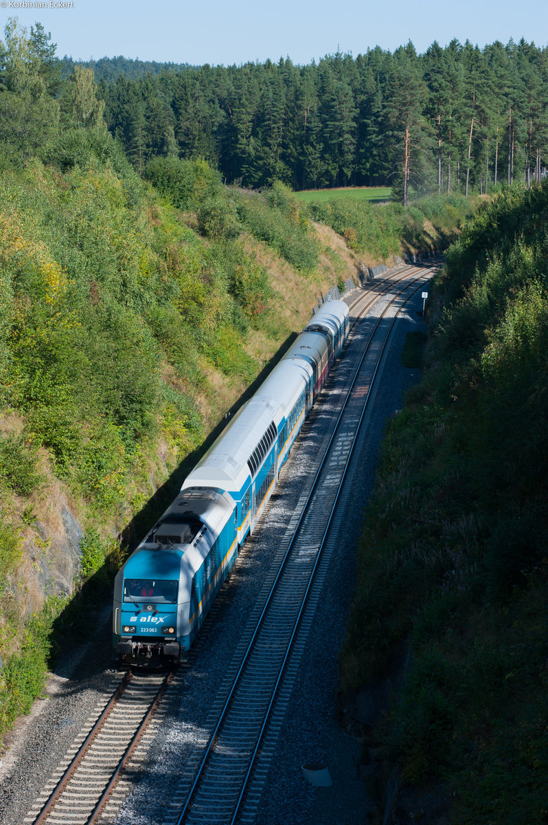 223 063 passiert mit dem ALX84108 von München nach Hof den großen Einschnitt kurz vor dem Haltepunkt Röslau, 26.08.2016
