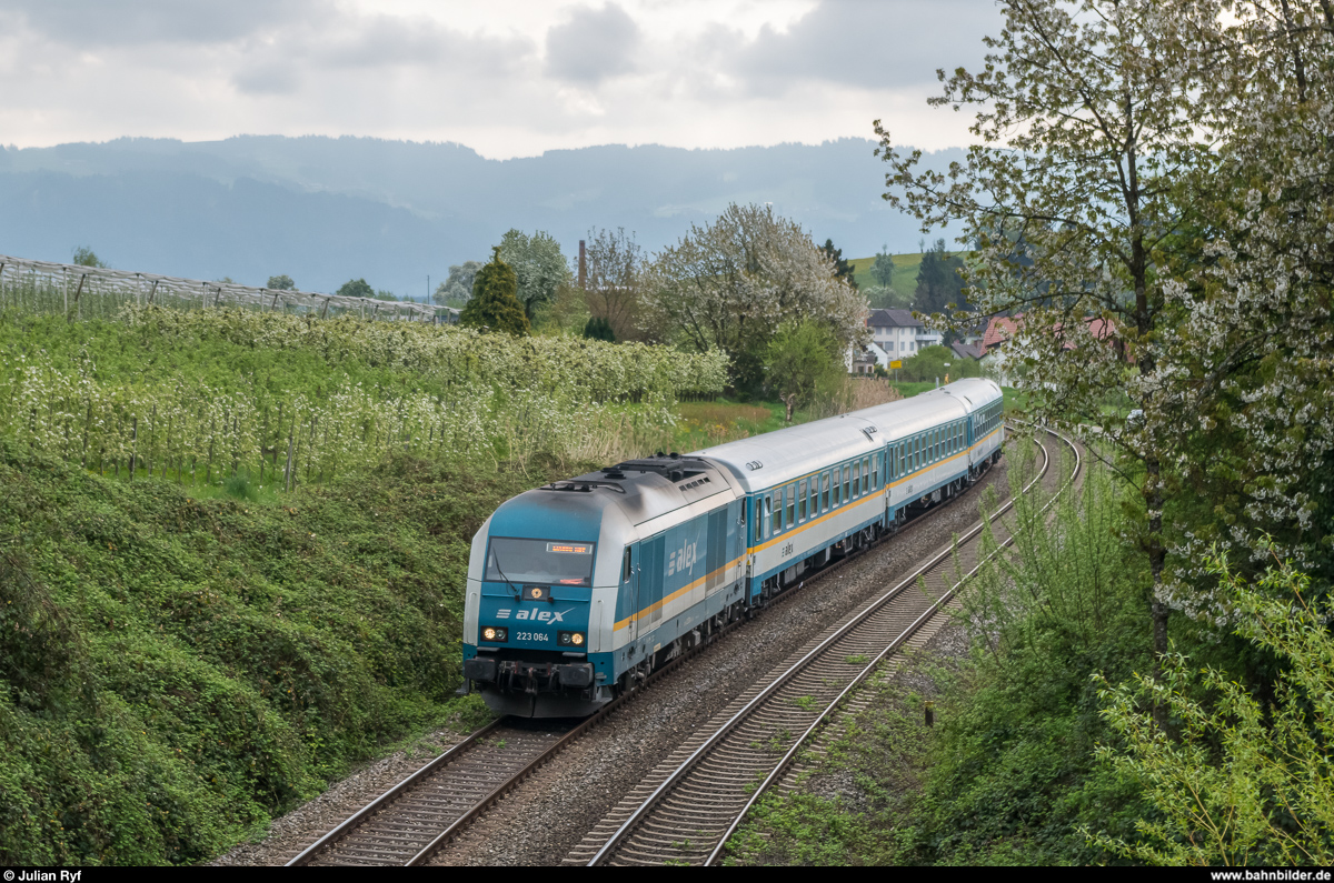 223 064 mit ALEX am 14. April 2017 bei kurz vor dem Endbahnhof Lindau.