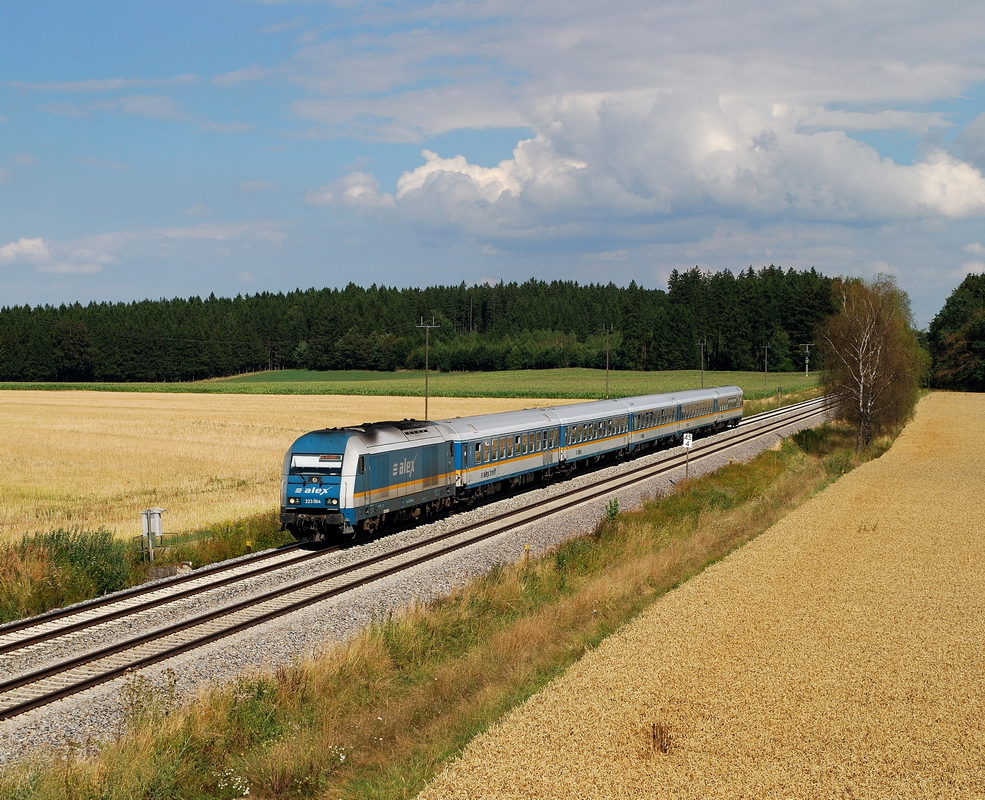 223 064 mit Alx 84150 bei Schwabhausen (11.08.2013)