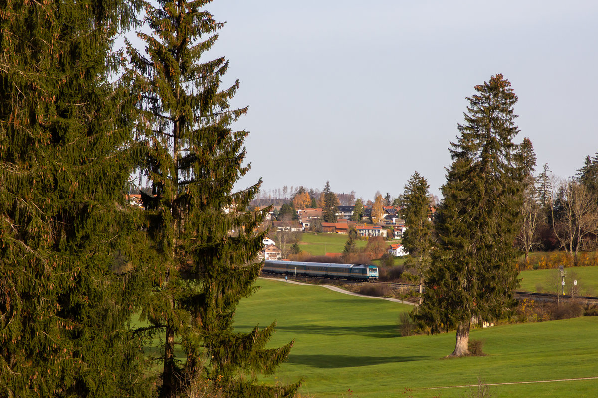 223 065 mit dem Alex hinter Martinszell gen Immenstadt. 8.11.20