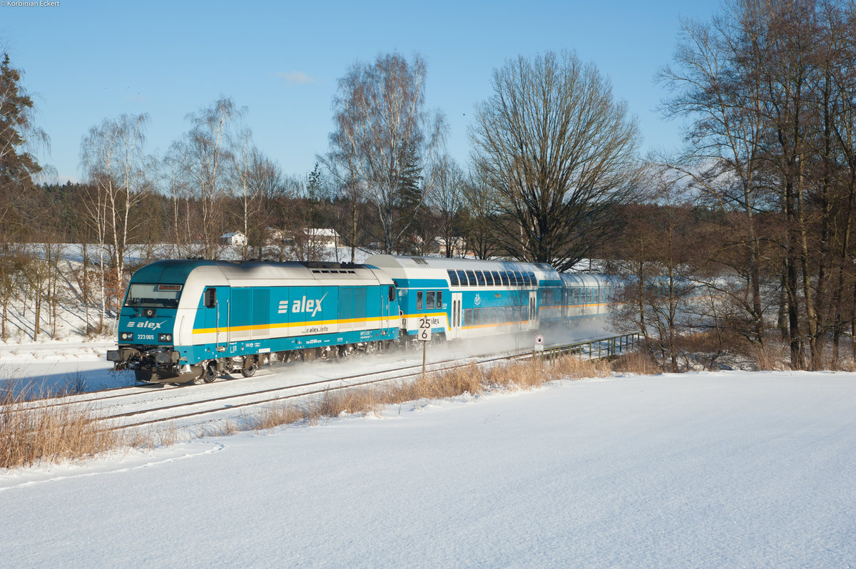 223 065 mit dem ALX 84115 von Hof Hbf nach München Hbf bei Reuth, 06.01.2017