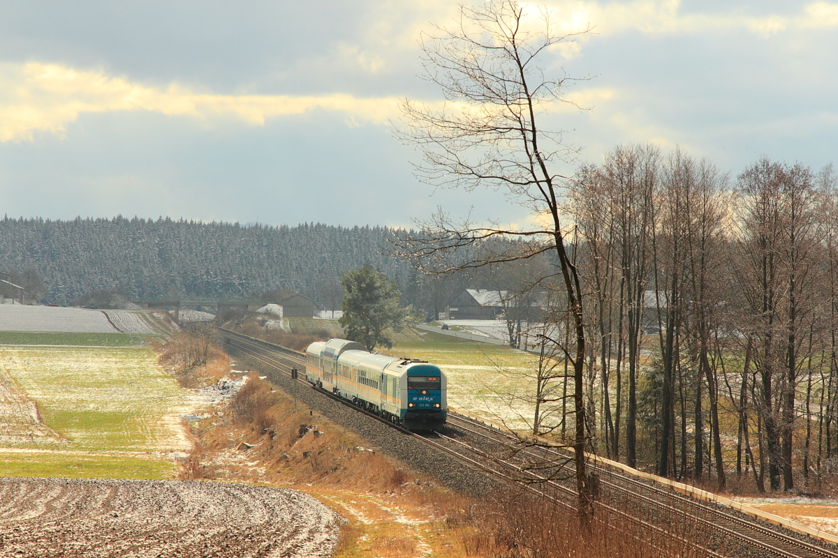 223 066 Alex bei Marktleuthen am 25.02.2016.