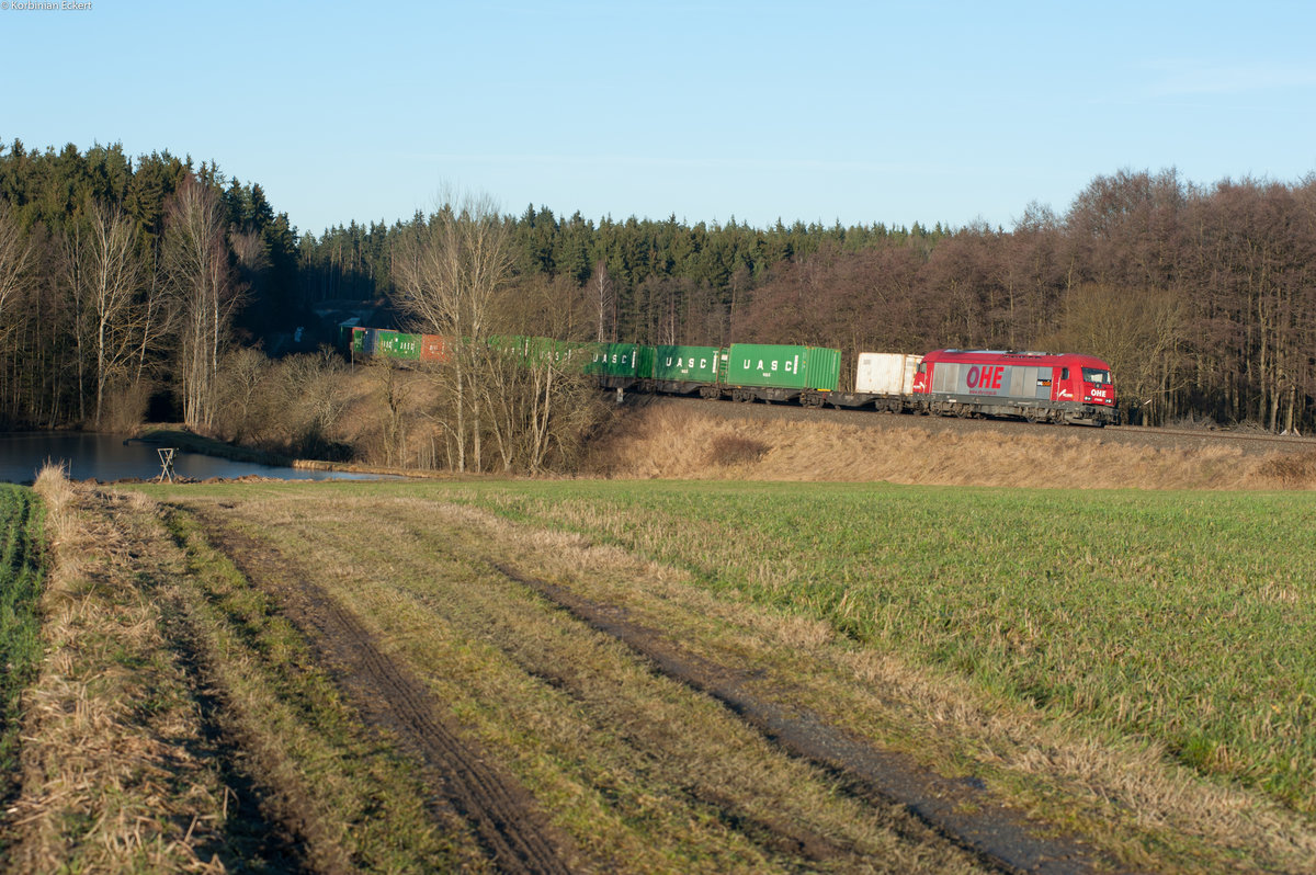 223 101-7 alias 270080 mit dem Containerzug nach Wiesau bei Oberteich, 30.12.2016