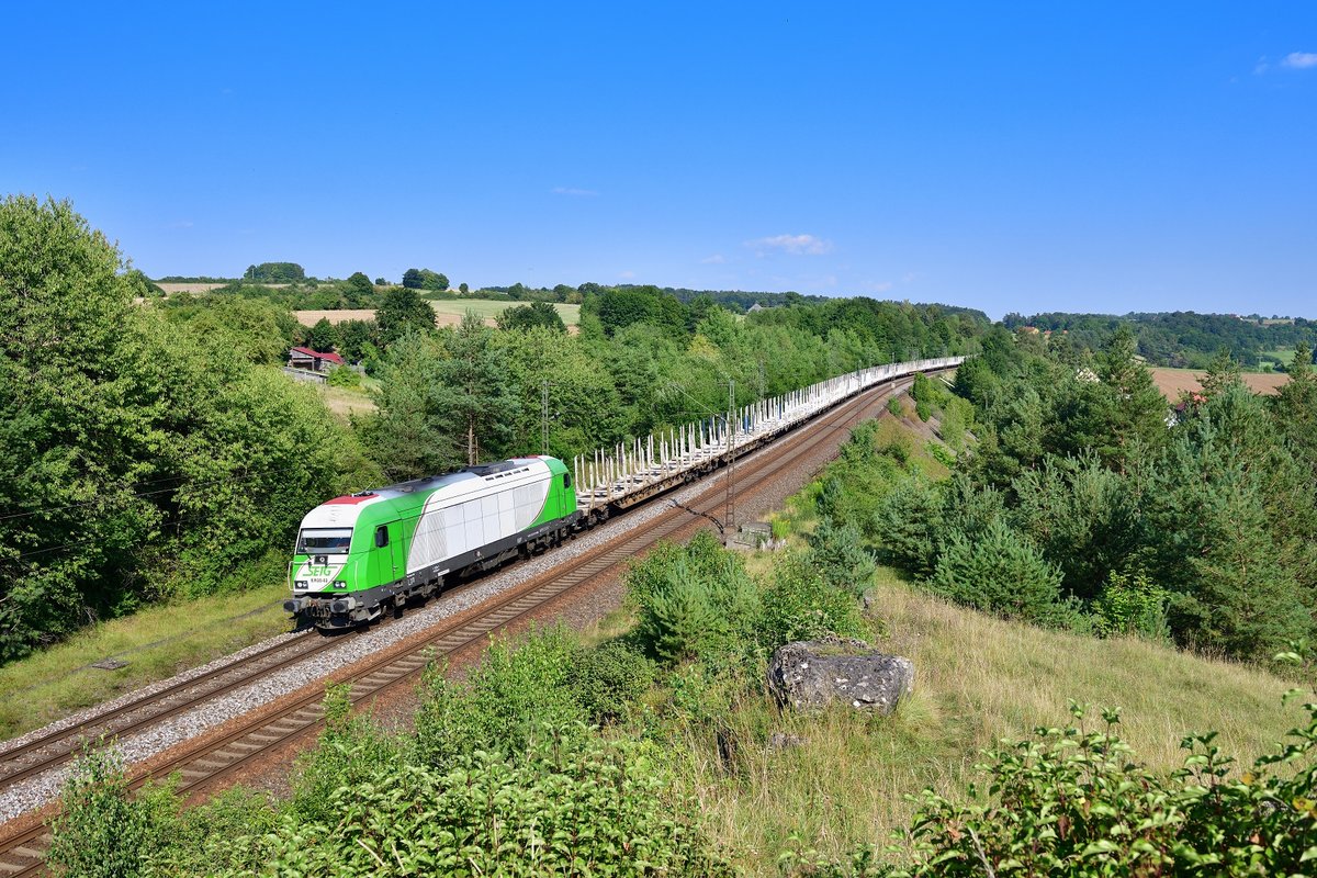 223 101 mit einem Rungenwagenzug am 09.08.2020 bei Laaber.