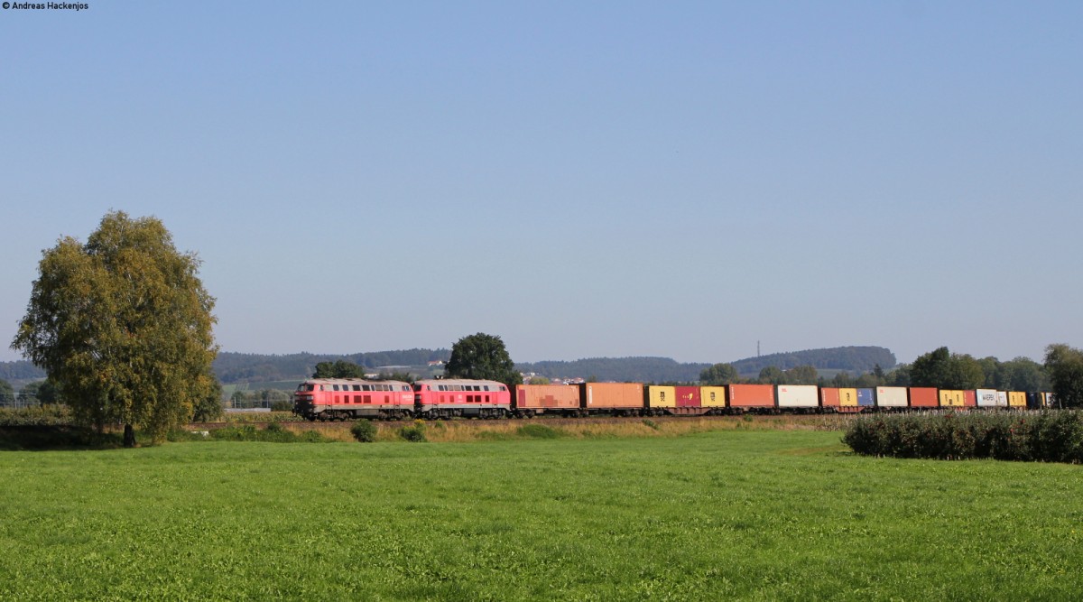 225 021-5 und 225 803-6 mit dem KT 43166 (Wolfurt-Weddewarder tief)  bei Gohren 27.9.14