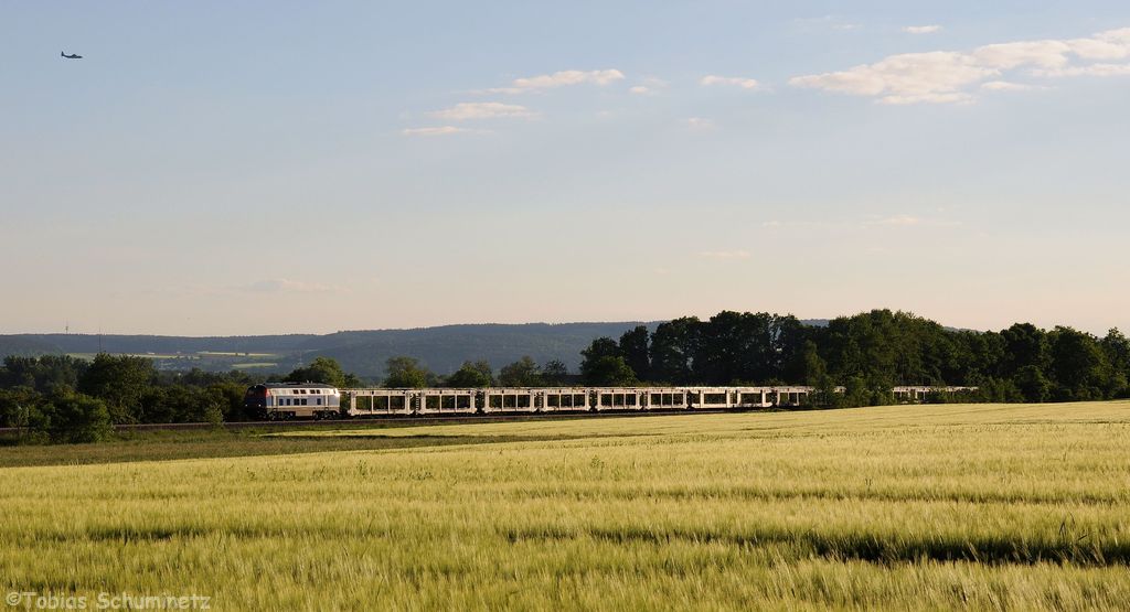 225 079 (92 80 1225 079-3 D-NBEG) mit Zug 95437 von Saal an der Donau nach Furth im Wald am 05.06.2013 bei Schwandorf