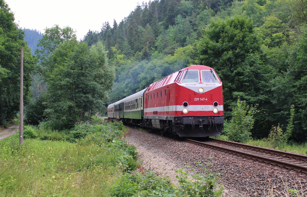 229 147-4 (CLR) fuhr am 21.07.18 den Sormitztal Thüringer Meer Express von Erfurt nach Wurzbach. Von dort fuhren dann Busse nach Blankenstein, da auf der Stecke gebaut wird. Hier ist der Zug bei zwischen Hockeroda und Leutenberg zu sehen. 