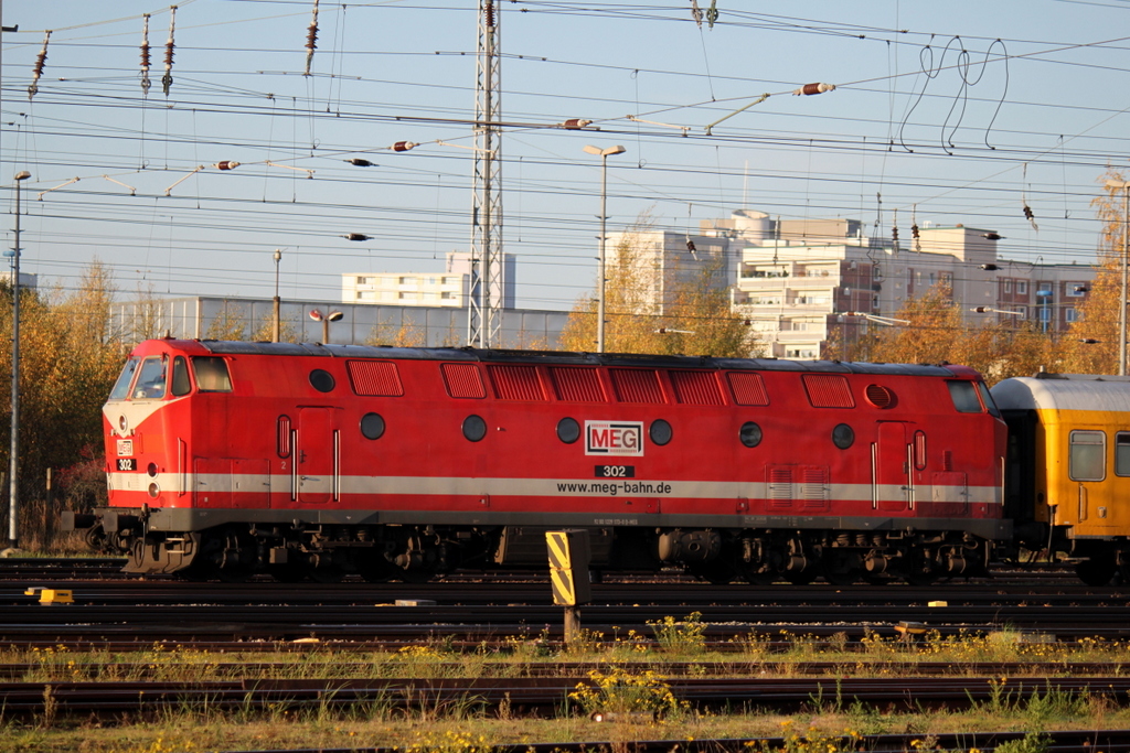 229 173-0 abgestellt im Rostocker Hbf.31.10.2013
