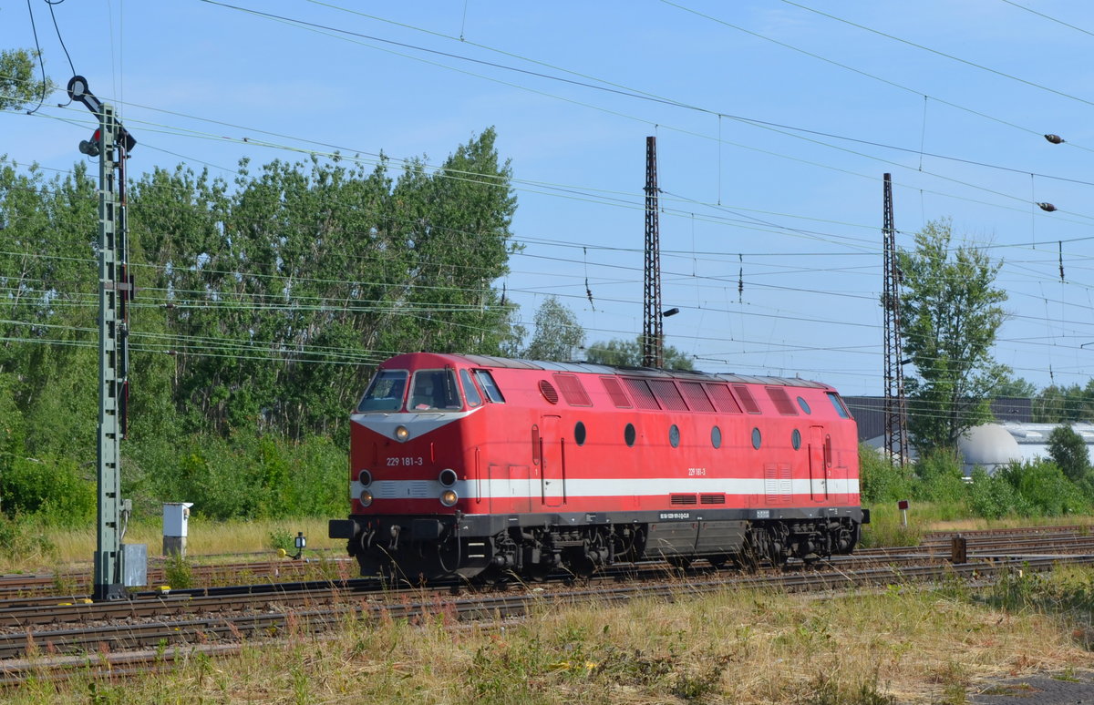 229 181-3 der CLR – Cargo Logistik Rail Service GmbH in Leipzig Schönefeld 28.06.2018