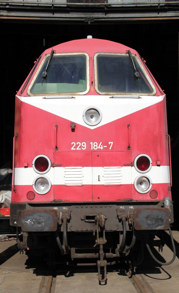 229 184-7 war bei den 3. Verkehrshistorische Tage in Gera zusehen. Foto 28.09.13