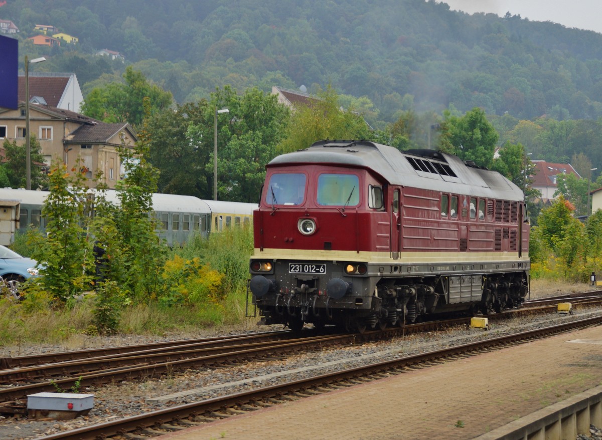 231 012-6 am 06.09.14 zu Gast mit einen Sonderzug in Meiningen. 