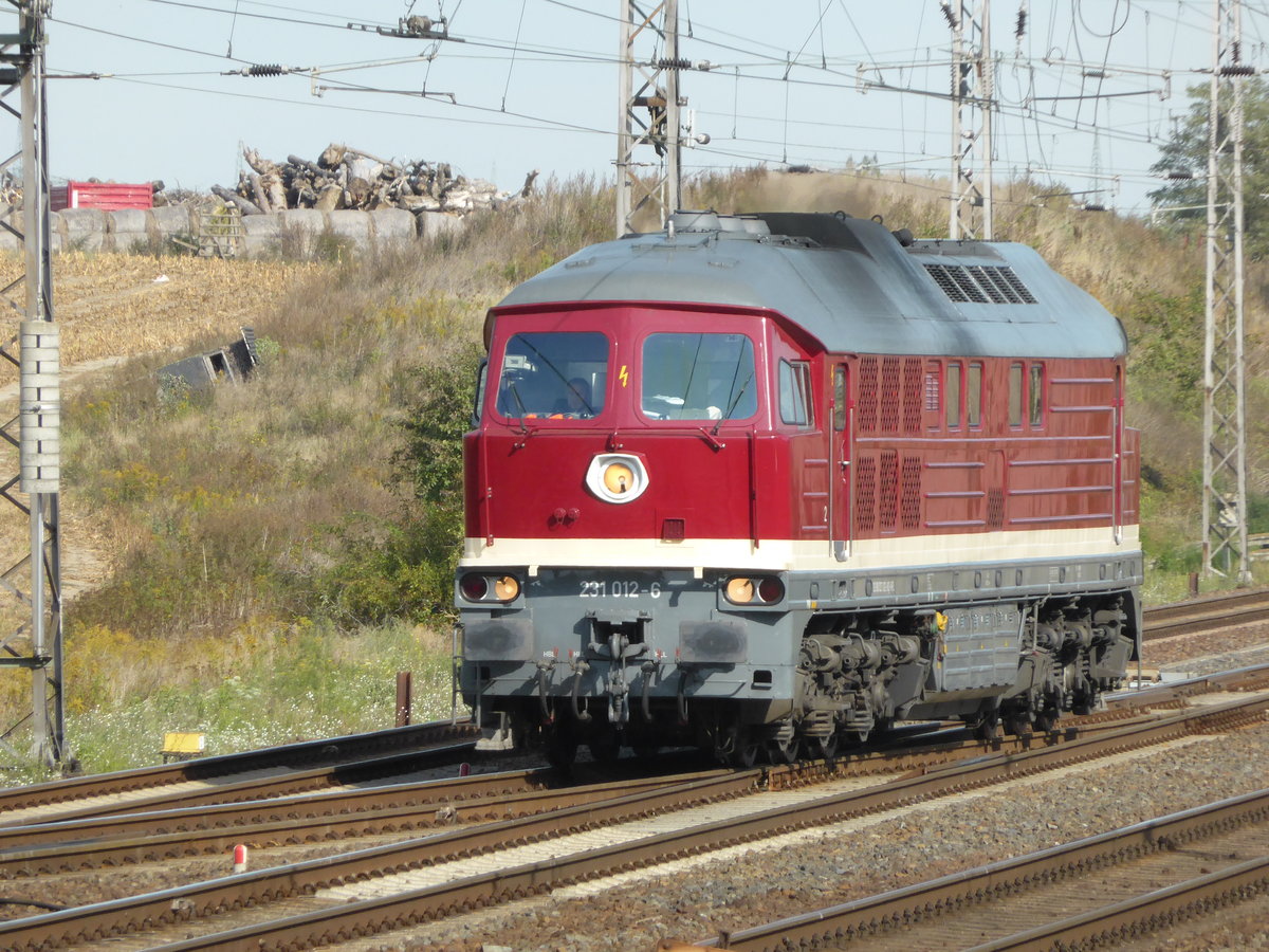 231 012 als LZ in Priortam  23.09.2019