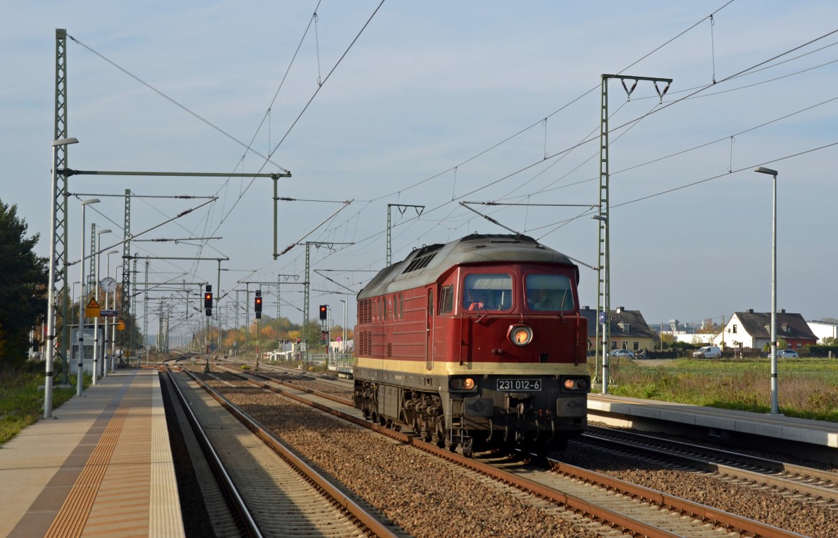 231 012 der WFL fuhr am 31.10.15 Lz durch Rodleben Richtung Dessau. Zuvor hatte sie einen Altschwellenzug nach Königsborn gebracht.