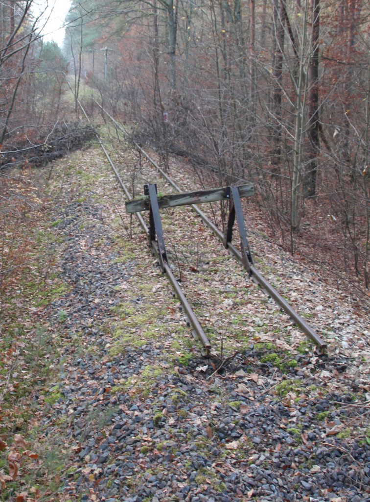 23.11.14 ca. 2 km hinter Templin Stadt - Ende der befahrbaren / 2012 entwidmeten Strecke nach Prenzlau (mit Abzweig nach Fürstenwerder / 1945 abgebaut)