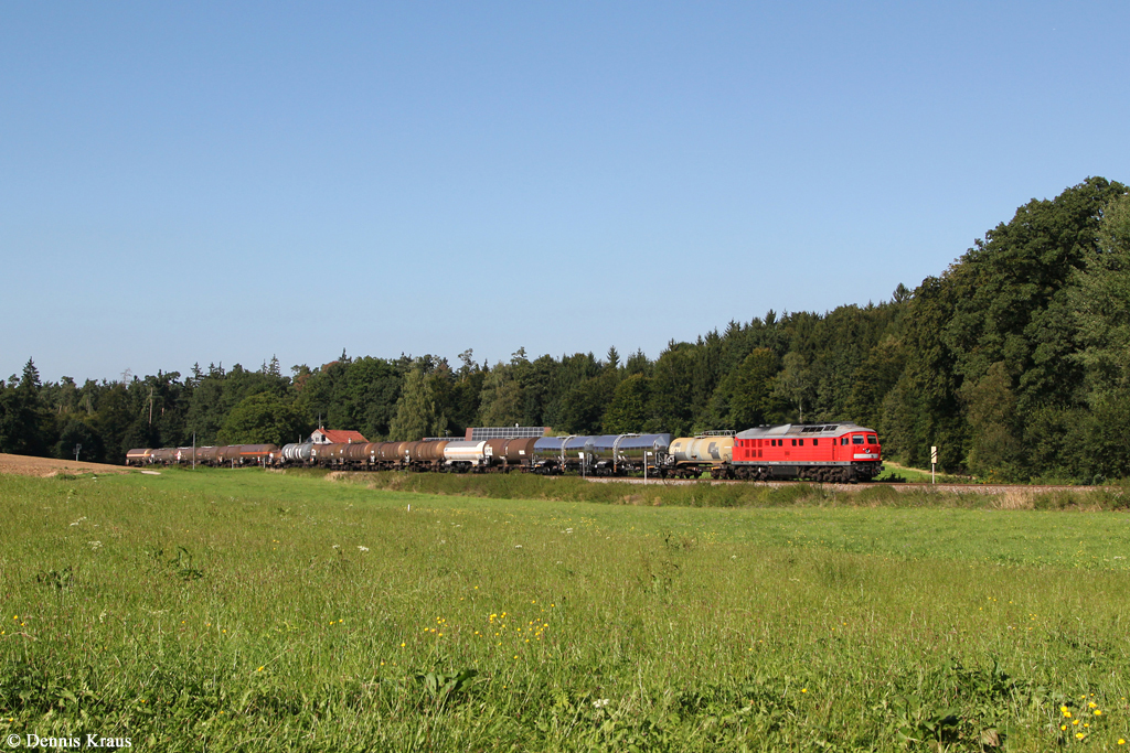 232 117 mit einem Güterzug am 28.08.2014 bei Kastl.