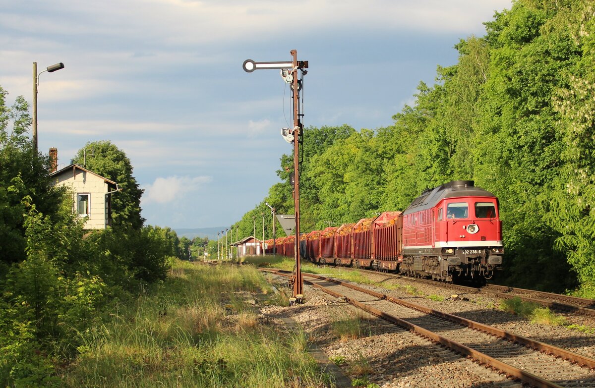 232 238-6 (WFL) fuhr am 31.05.22 mit einem Holzzug von Triptis nach Torgau. Hier ist der Zug in Oppurg zu sehen.