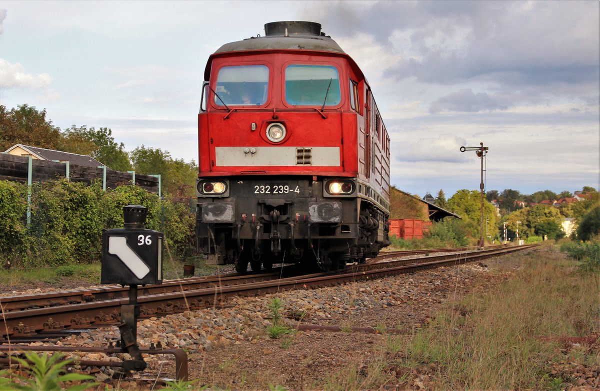 232 239-4 (EBS) war am 28.09.20 in Pößneck oberer Bahnhof bei der Ausfahrt zu sehen.