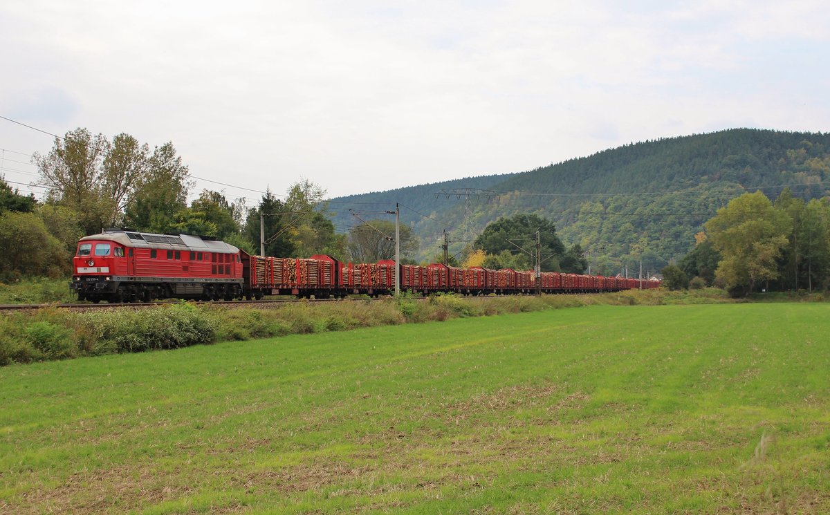 232 239-4 (EBS) zu sehen mit einem Holzzug am 23.09.17 in Remschütz.