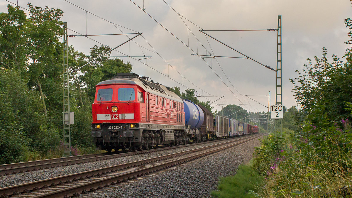 232 262-6 kurz vorm Bahnhof Syrau in Richtung Hof. Wir schreiben den 17. Juli 2017. 