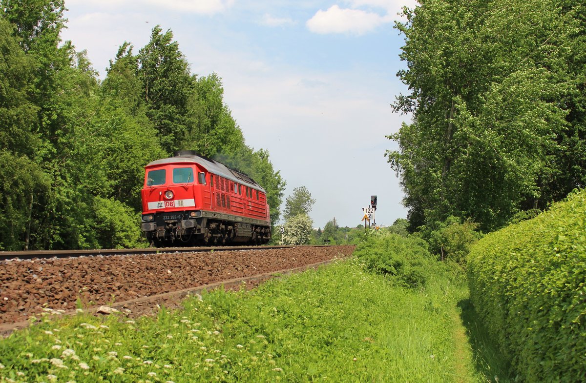 232 262-6 zu sehen am 30.05.17 bei Waldershof.