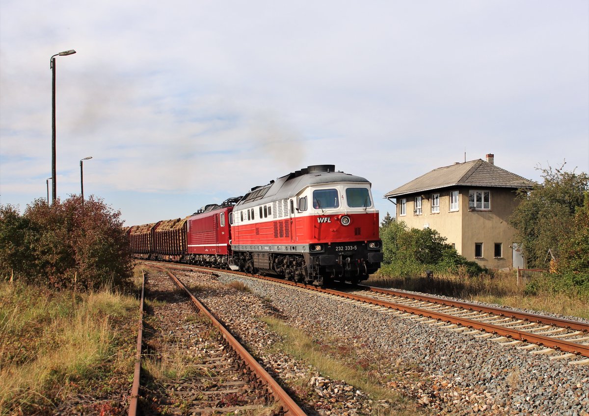 232 333-5 und 155 110-0 (WFL) fuhren am 03.10.20 einen Holzzug von Triptis nach Kaufering. Hier ist der Zug in Triptis zu sehen.