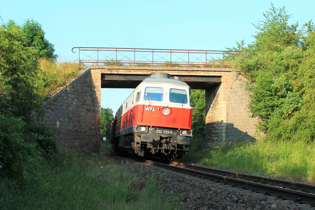 232 333-5 (WFL) am 18.6.2021 mit dem Holzzug von Triptis nach Kaufering. Hier zu sehen zwischen Oppurg und Pößneck. Am Zugende lief noch 155 222-3 (WFL) mit, welche ab Saalfeld/Saale die Bespannung übernahm.